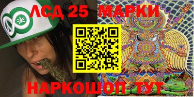 гашик Донской