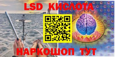 гашик Донской