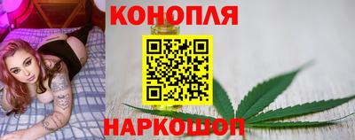 гашик Донской